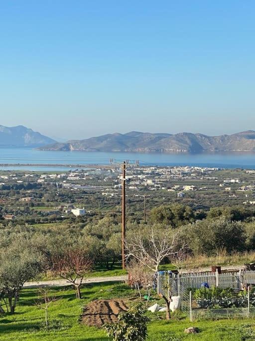Handra Seaview * Agios Dimitrios (Kos)
